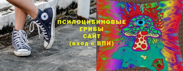 гидра Анжеро-Судженск