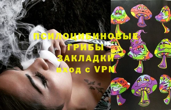 спиды Алзамай